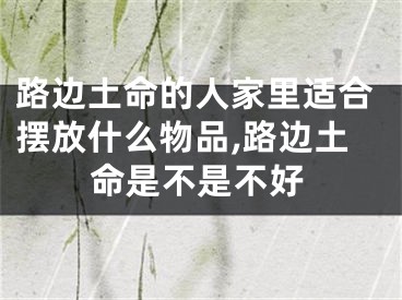 路边土命的人家里适合摆放什么物品,路边土命是不是不好
