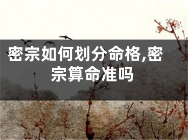 密宗如何划分命格,密宗算命准吗