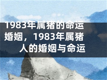 1983年属猪的命运婚姻，1983年属猪人的婚姻与命运