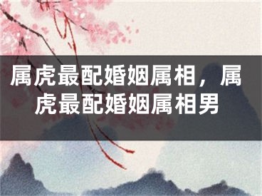 属虎最配婚姻属相，属虎最配婚姻属相男