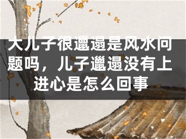 大儿子很邋遢是风水问题吗，儿子邋遢没有上进心是怎么回事