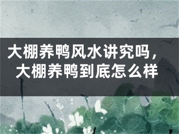 大棚养鸭风水讲究吗，大棚养鸭到底怎么样