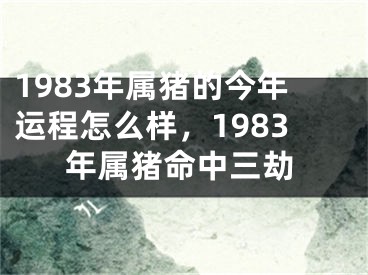 1983年属猪的今年运程怎么样，1983年属猪命中三劫