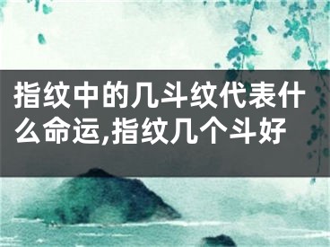 指纹中的几斗纹代表什么命运,指纹几个斗好
