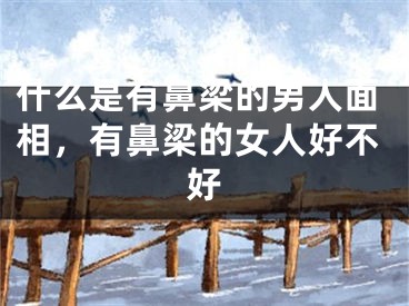 什么是有鼻梁的男人面相，有鼻梁的女人好不好