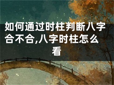 如何通过时柱判断八字合不合,八字时柱怎么看