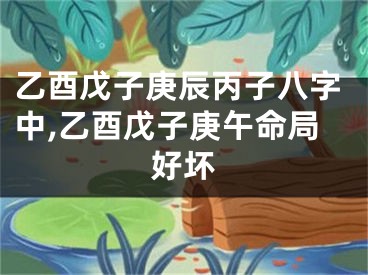 乙酉戊子庚辰丙子八字中,乙酉戊子庚午命局好坏
