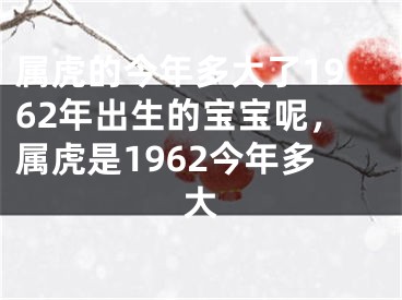 属虎的今年多大了1962年出生的宝宝呢,属虎是1962今年多大