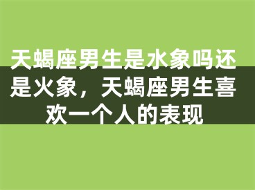 天蝎座男生是水象吗还是火象，天蝎座男生喜欢一个人的表现