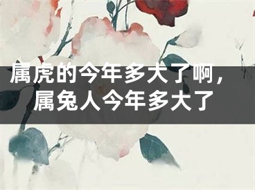 属虎的今年多大了啊，属兔人今年多大了