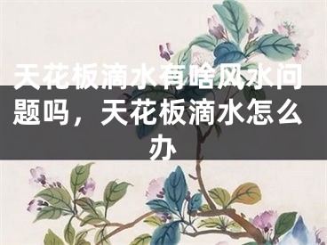 天花板滴水有啥风水问题吗，天花板滴水怎么办