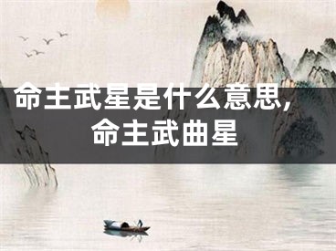 命主武星是什么意思,命主武曲星