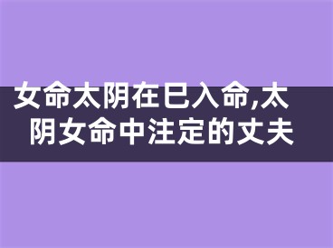 女命太阴在巳入命,太阴女命中注定的丈夫