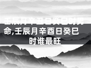 壬辰月辛丑日癸巳时男命,壬辰月辛酉日癸巳时谁最旺