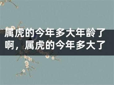 属虎的今年多大年龄了啊，属虎的今年多大了