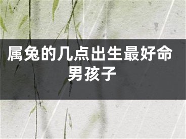 属兔的几点出生最好命男孩子