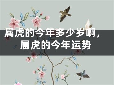 属虎的今年多少岁啊，属虎的今年运势