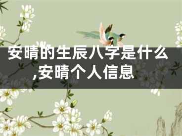 安晴的生辰八字是什么,安晴个人信息