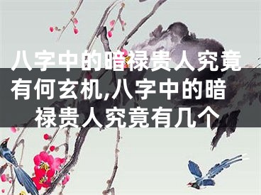 八字中的暗禄贵人究竟有何玄机,八字中的暗禄贵人究竟有几个