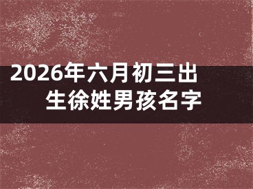 2026年六月初三出生徐姓男孩名字