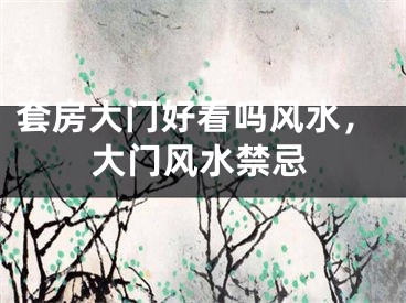 套房大门好看吗风水，大门风水禁忌