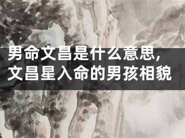 男命文昌是什么意思,文昌星入命的男孩相貌