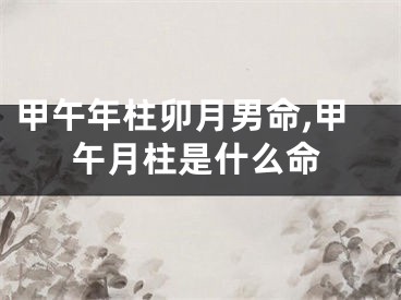 甲午年柱卯月男命,甲午月柱是什么命