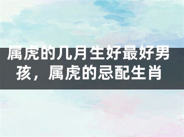 属虎的几月生好最好男孩，属虎的忌配生肖
