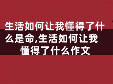 生活如何让我懂得了什么是命,生活如何让我懂得了什么作文