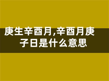 庚生辛酉月,辛酉月庚子日是什么意思