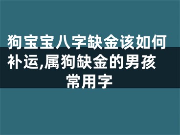 狗宝宝八字缺金该如何补运,属狗缺金的男孩常用字