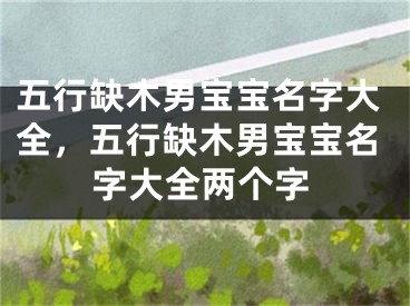 五行缺木男宝宝名字大全，五行缺木男宝宝名字大全两个字