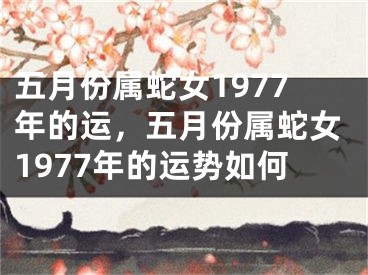 五月份属蛇女1977年的运，五月份属蛇女1977年的运势如何