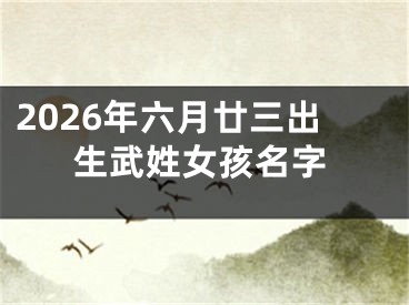 2026年六月廿三出生武姓女孩名字