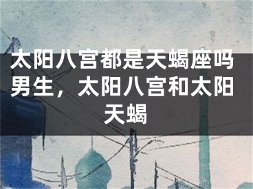 太阳八宫都是天蝎座吗男生，太阳八宫和太阳天蝎