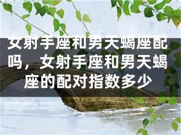 女射手座和男天蝎座配吗，女射手座和男天蝎座的配对指数多少