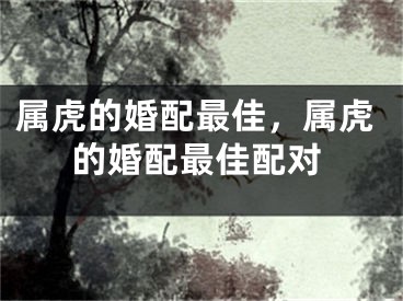 属虎的婚配最佳，属虎的婚配最佳配对