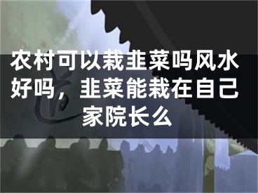 农村可以栽韭菜吗风水好吗，韭菜能栽在自己家院长么