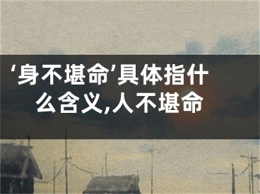 ‘身不堪命’具体指什么含义,人不堪命