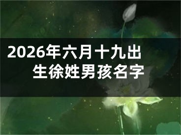 2026年六月十九出生徐姓男孩名字