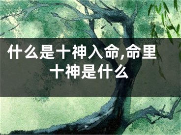 什么是十神入命,命里十神是什么