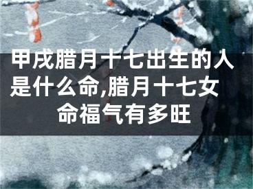 甲戌腊月十七出生的人是什么命,腊月十七女命福气有多旺