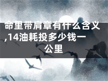 命里带肩章有什么含义,14油耗投多少钱一公里