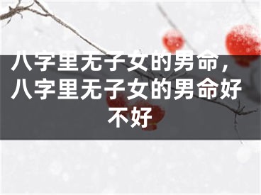 八字里无子女的男命，八字里无子女的男命好不好