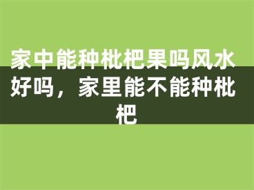 家中能种枇杷果吗风水好吗，家里能不能种枇杷