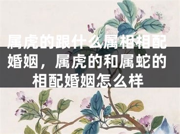 属虎的跟什么属相相配婚姻，属虎的和属蛇的相配婚姻怎么样