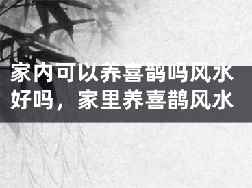 家内可以养喜鹊吗风水好吗，家里养喜鹊风水