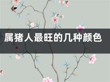 属猪人最旺的几种颜色