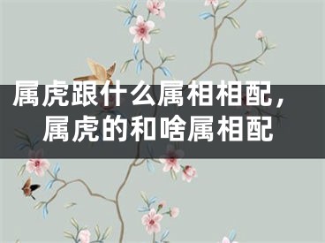 属虎跟什么属相相配，属虎的和啥属相配