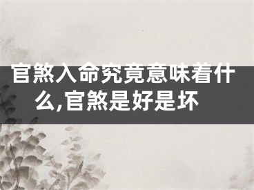 官煞入命究竟意味着什么,官煞是好是坏